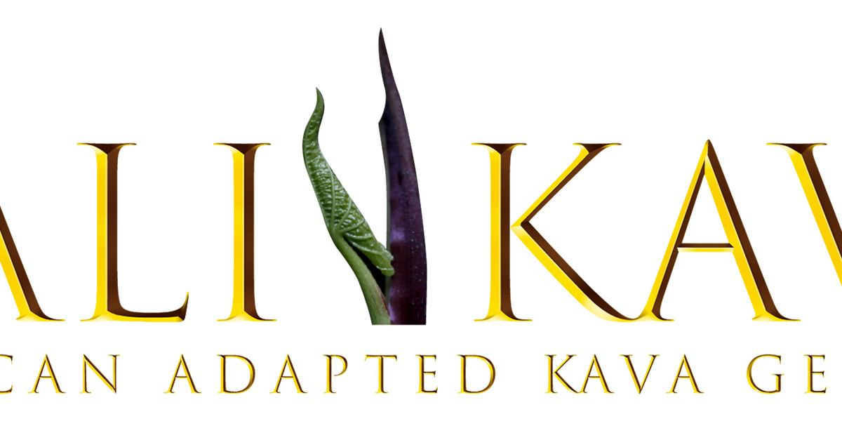 Products | Kali Kava